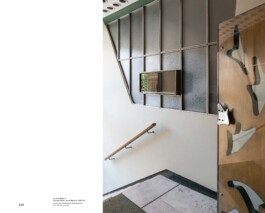 Nicoletta Dalfino Spinelli