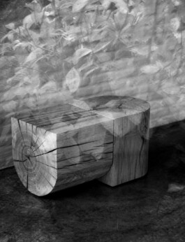 Nicoletta Dalfino Spinelli