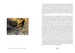 Nicoletta Dalfino Spinelli