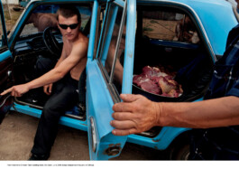 Nicoletta Dalfino Spinelli