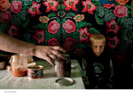 Nicoletta Dalfino Spinelli