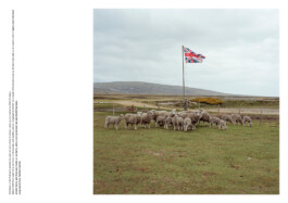 Nicoletta Dalfino Spinelli