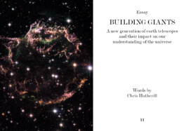 Nicoletta Dalfino Spinelli