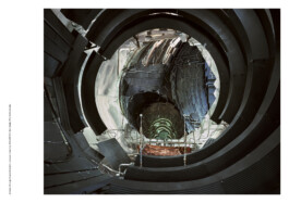 Nicoletta Dalfino Spinelli