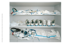 Nicoletta Dalfino Spinelli