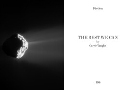 Nicoletta Dalfino Spinelli