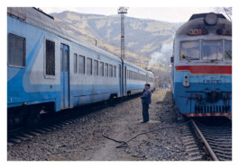Nicoletta Dalfino Spinelli