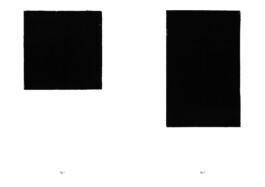 Nicoletta Dalfino Spinelli