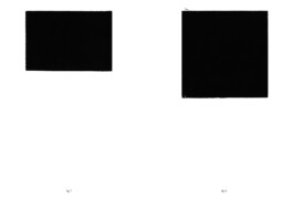 Nicoletta Dalfino Spinelli