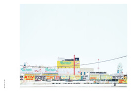 Nicoletta Dalfino Spinelli