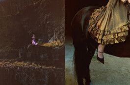 Nicoletta Dalfino Spinelli