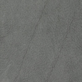 Nicoletta Dalfino Spinelli