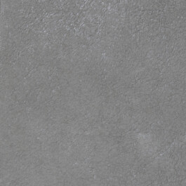 Nicoletta Dalfino Spinelli