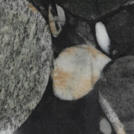 Nicoletta Dalfino Spinelli