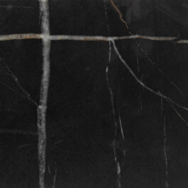 Nicoletta Dalfino Spinelli